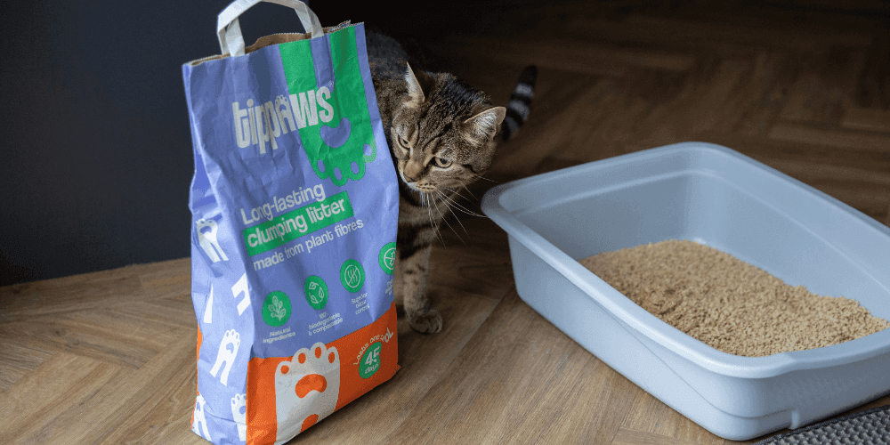 Clumping cat litter discount reviews