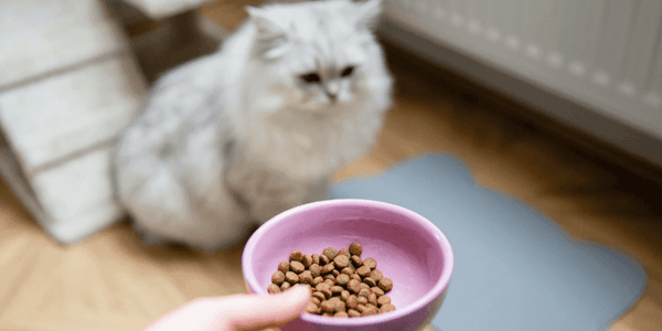 Low ash and magnesium cat food hotsell