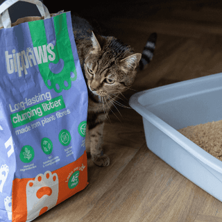 cat litter reviews