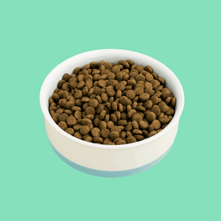 How much dry cat food should I feed my cat if I feed them wet cat food too?