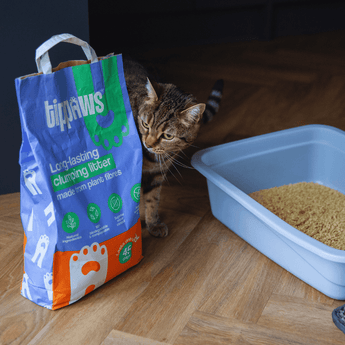 Long-lasting clumping cat litter