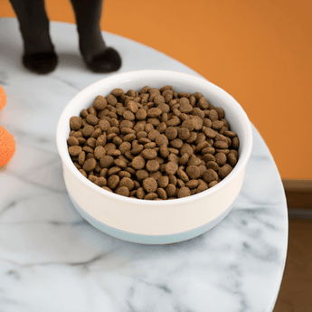 Turkey & chicken - dry cat food for adult cats - Tippaws